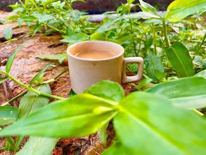 Samarth Atc-Beach Home Stay Ratnagiri Ngoại thất bức ảnh